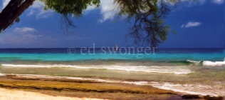 Barbados Beach and Tree Enhanced