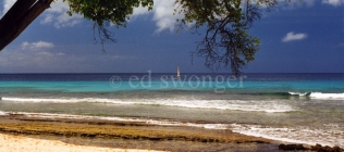 Barbados Beach with Sailboat