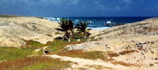 Barbados Palms and Sand Path Enhanced