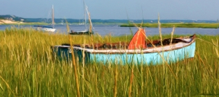 Blue Boat and Reeds Enhanced