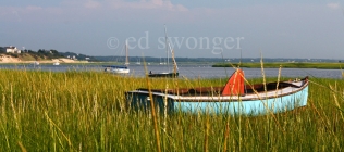 Blue Boat and Reeds