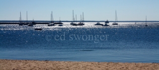 Provincetown Boats and Sparkling Water