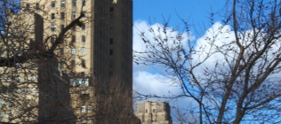 Central Park West Building and Bare Trees
