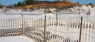 Dune and Fences