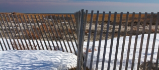 Winter Dune Fence