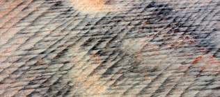 Flagler Sand Pattern #2