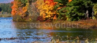Lake Fall Trees #2 Enhanced