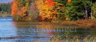 Lake Winnipesaukee Fall Trees #2