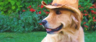 Mack in Cowboy Hat Outside Enhanced