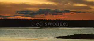 Maine Inlet at Sunset