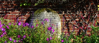 Old Westbury Gardens Brick Wall and Purple Flowers 2
