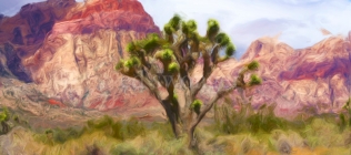 Red Rock Canyon Mountains and Joshua Tree Enhanced