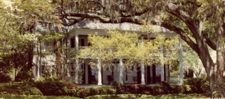 White House and Trees, Savannah