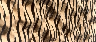 Zebra Sand Pattern Enhanced