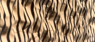 Zebra Sand Pattern