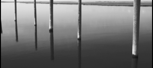Gilgo Dock Posts - Black & White