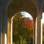 Archway Columns