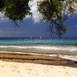 Barbados Beach with Sailboat