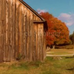 Barn and Fall Tree Enhanced