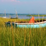 Blue Boat and Reeds Enhanced