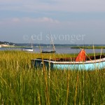 Blue Boat and Reeds