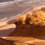 Cape Cod Sand Cliffs and Beach Below