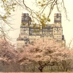 Central Park West Building in Spring