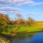 East Bay Wetlands #3 Enhanced