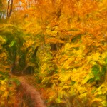 Fall Path Enhanced