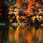 Fall Trees Reflection Enhanced
