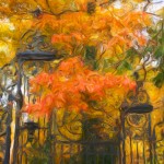 Gate & Fall Leaves Enhanced