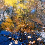 Lake Reflection of Fall Trees