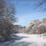 Lake & Bright Snow #3