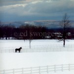 Horse, Snow and Clouds