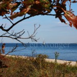 Huntington Bay and Sailboat