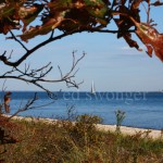 Huntington Bay and Sailboat