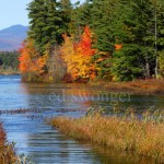 Lake Winnipesaukee Fall Trees #2