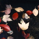 Leaves in Dark Water