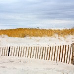 Sea Grass, Dunes and Clouds Enhanced