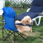 Mack in Blue Chair