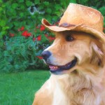 Mack in Cowboy Hat Outside Enhanced