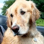 Mack Wet in Convertible