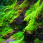 Mossy Rocks - Enhanced