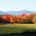 NH Fall Field