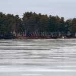 Frozen Lake and Trees #2