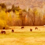 Catskill Horses in Fall Enhanced