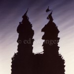 Central Park West Building Reflection
