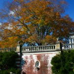 Old Westbury Gardens Brick Wall and Tree