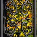 Old Westbury Gardens Gate and Fall Leaves