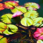 Old Westbury Gardens Lily Pads 1 - Enhanced